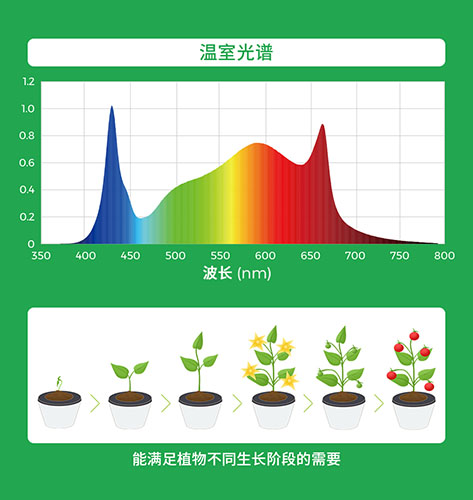 植物灯生长需求