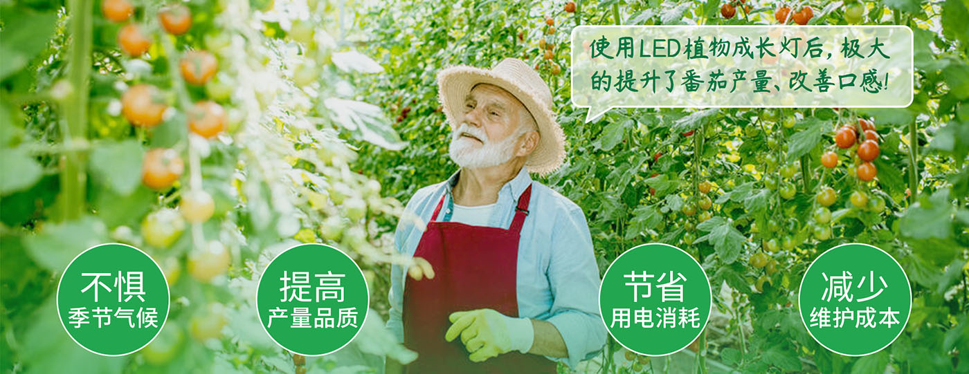 植物生长灯解决方案